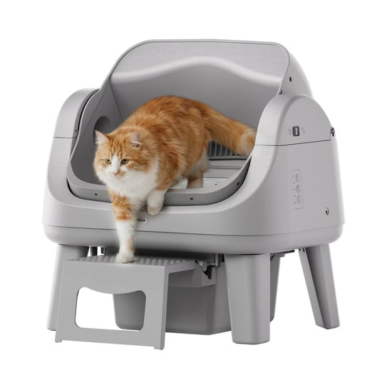 PetPivot AutoScooper 12 Automatic Cat Litter Box Self-Cleaning with Safety Protection, Liners, Front Entry Step Included, Full Grey